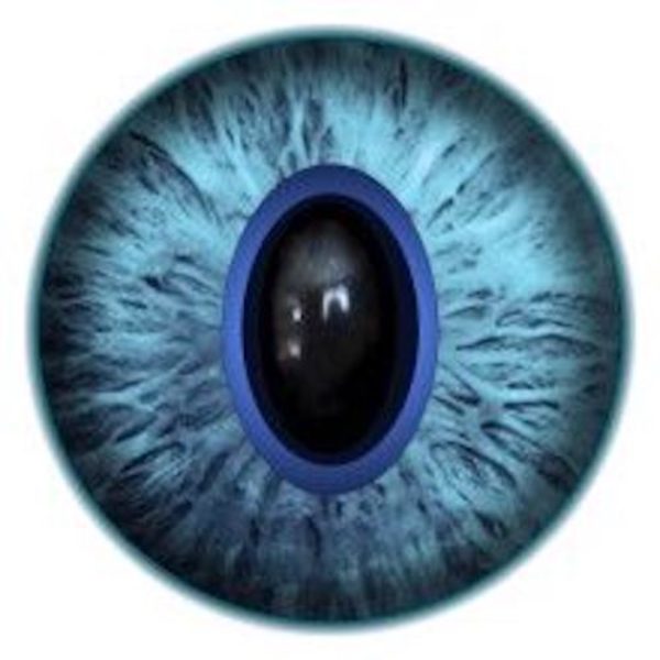 GK8.2 Cat Eye
