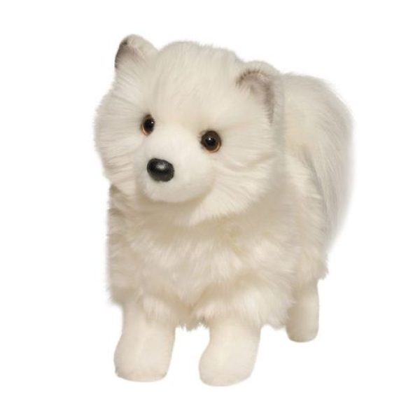 1704 Phoebe Pomsky 25cm